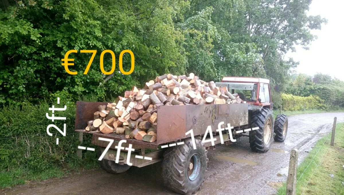 Hardwood ans Softwood Firewood - Image 1