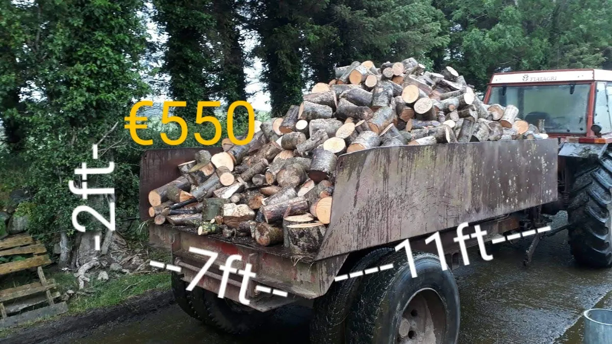 Hardwood ans Softwood Firewood - Image 4
