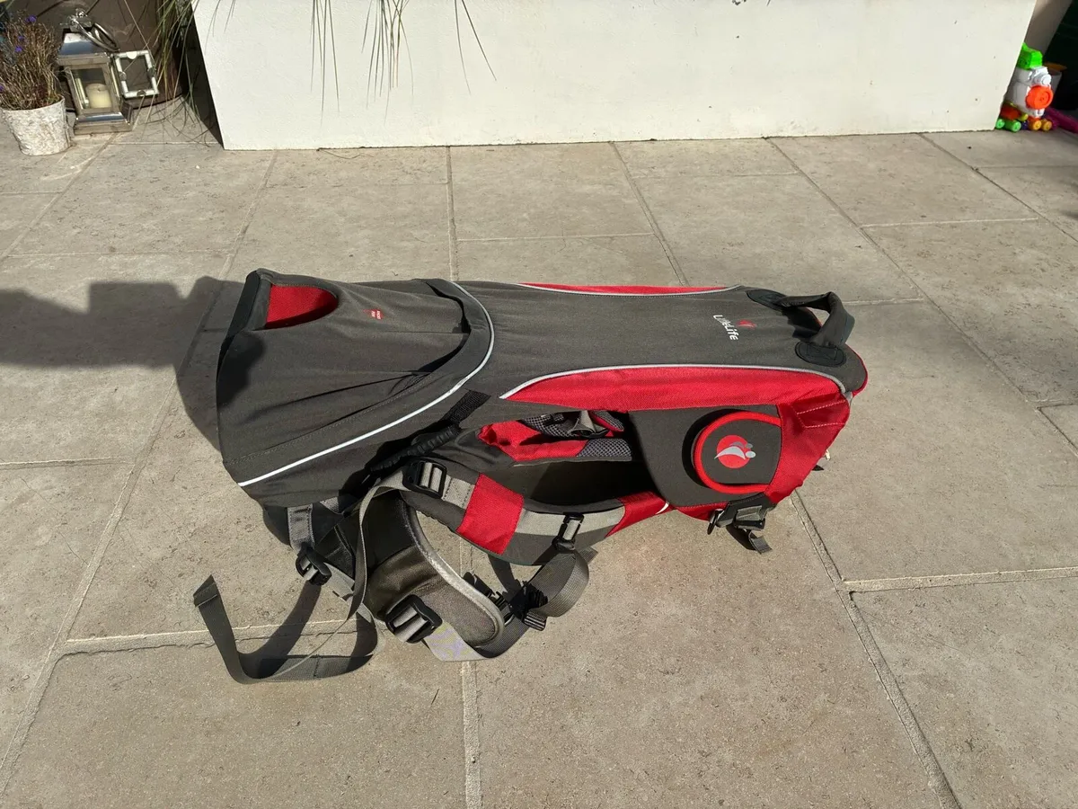 Toddler / child carrier - Image 2