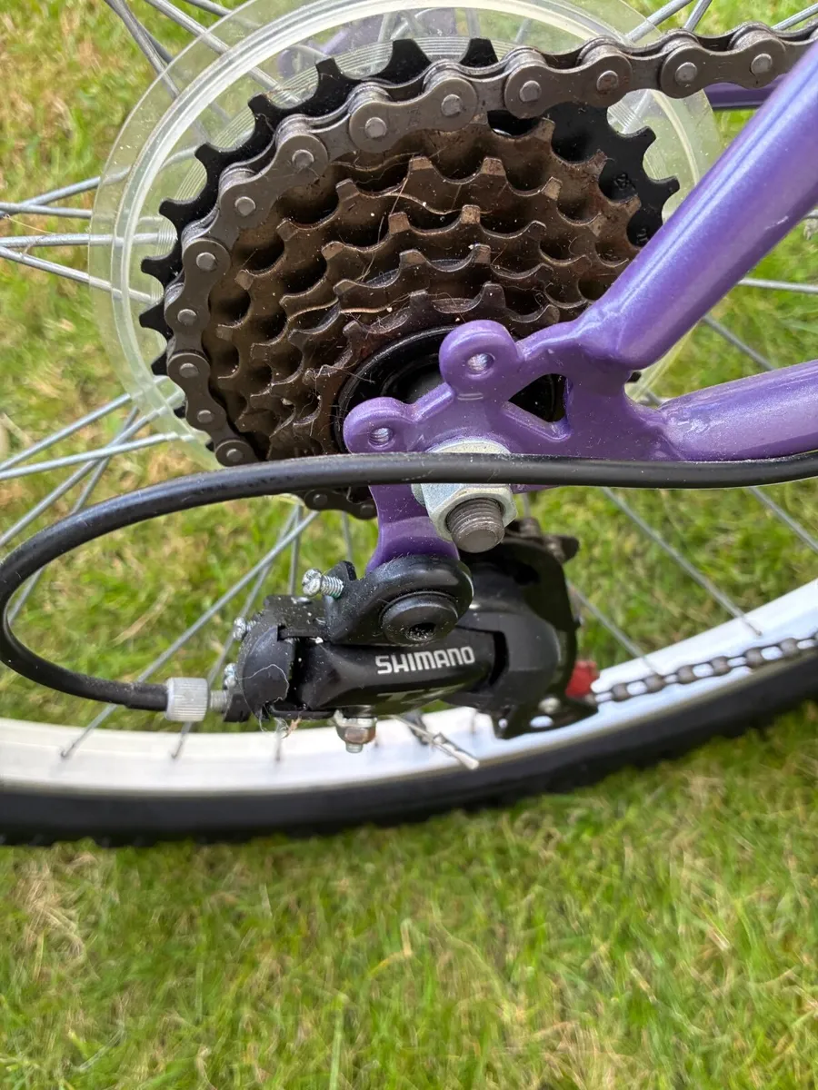 17 in Ladies mountain bike -like new hardly used - Image 4