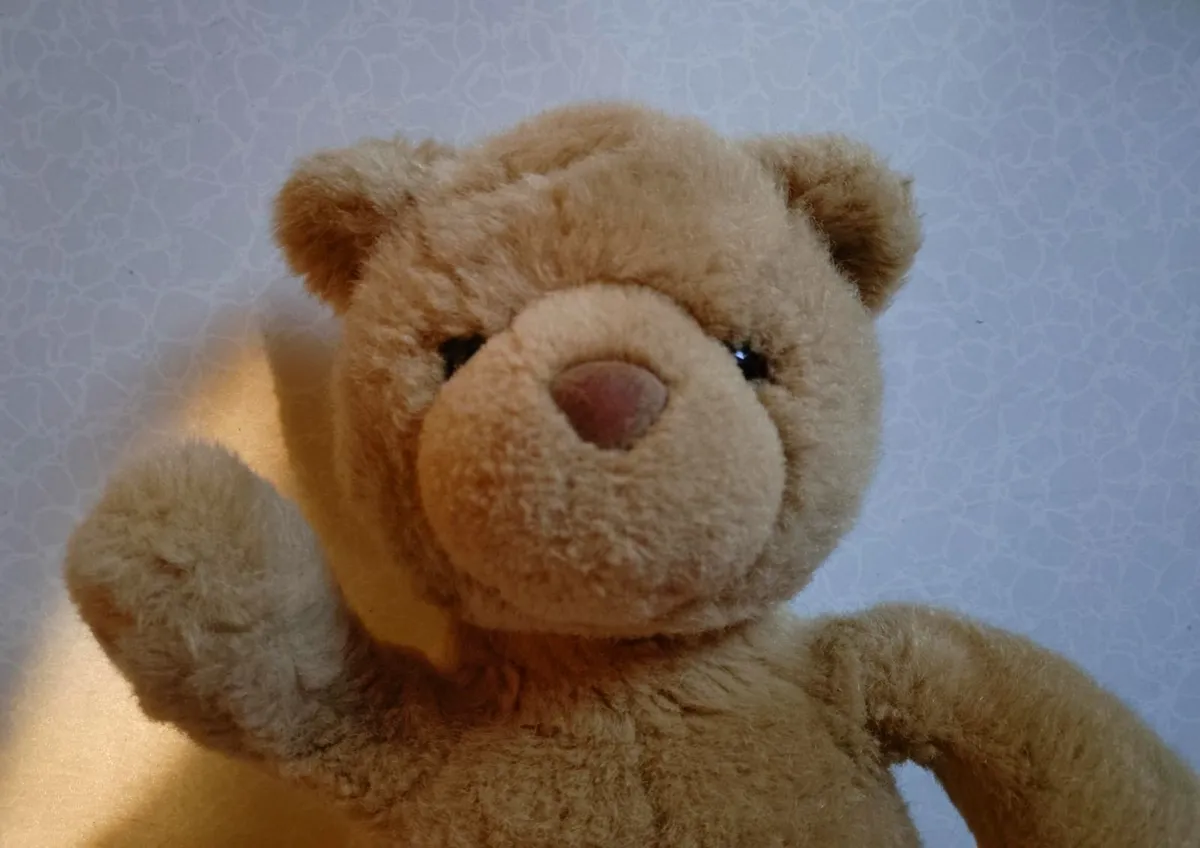 CRAYOLA TEDDY (GOOD CONDITION). - Image 4