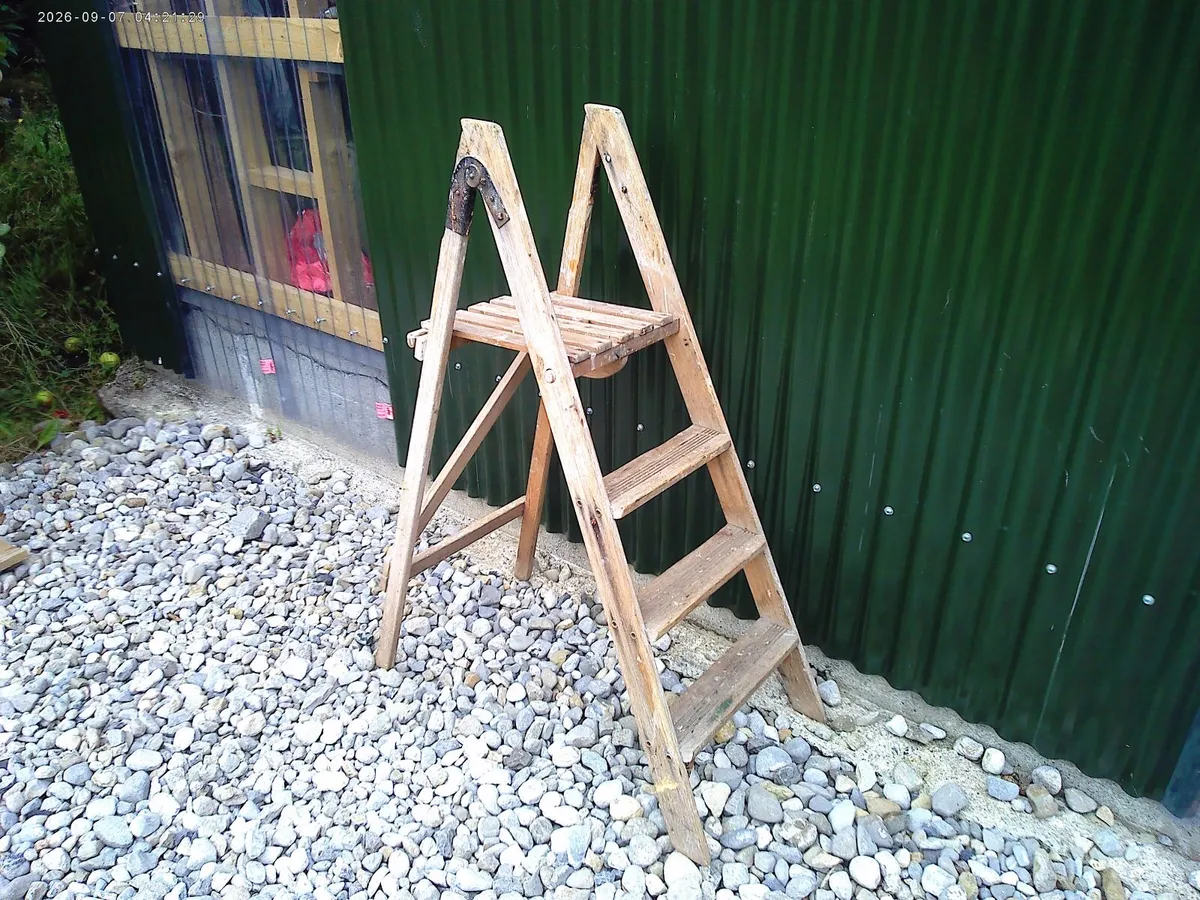Step Ladder - Image 1