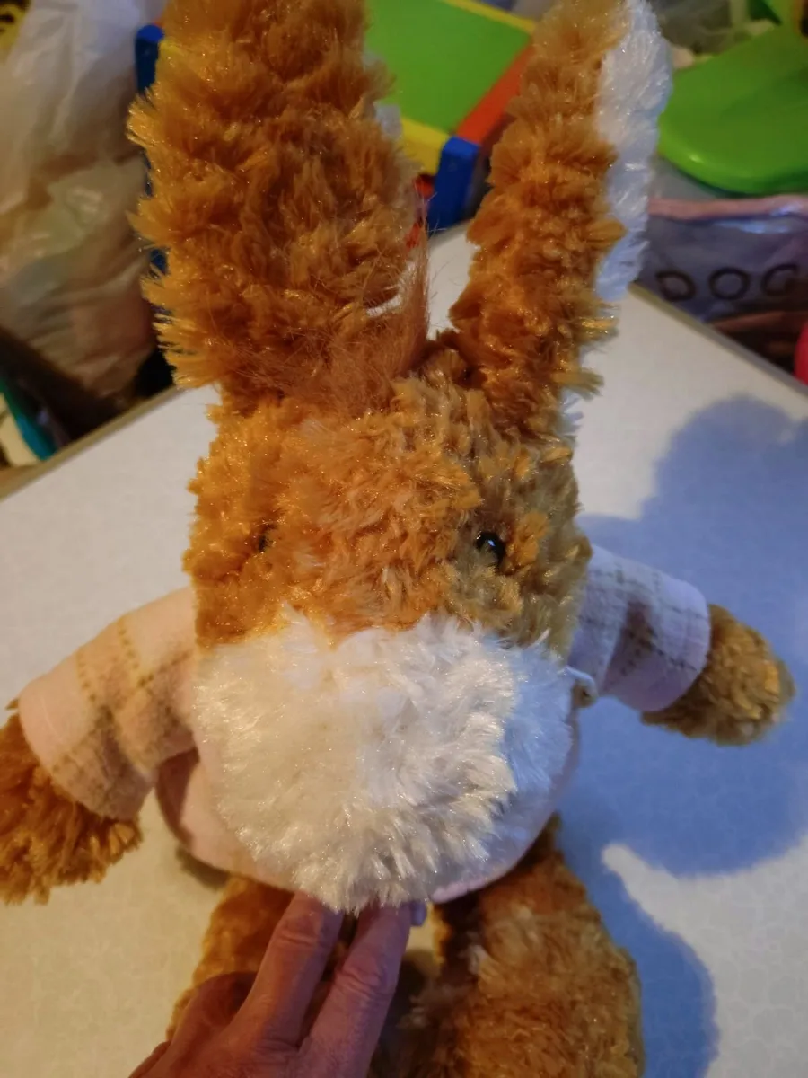 DONKEY TEDDY (WITH BEANBAG BELLY) LOVELY CONDITION - Image 3