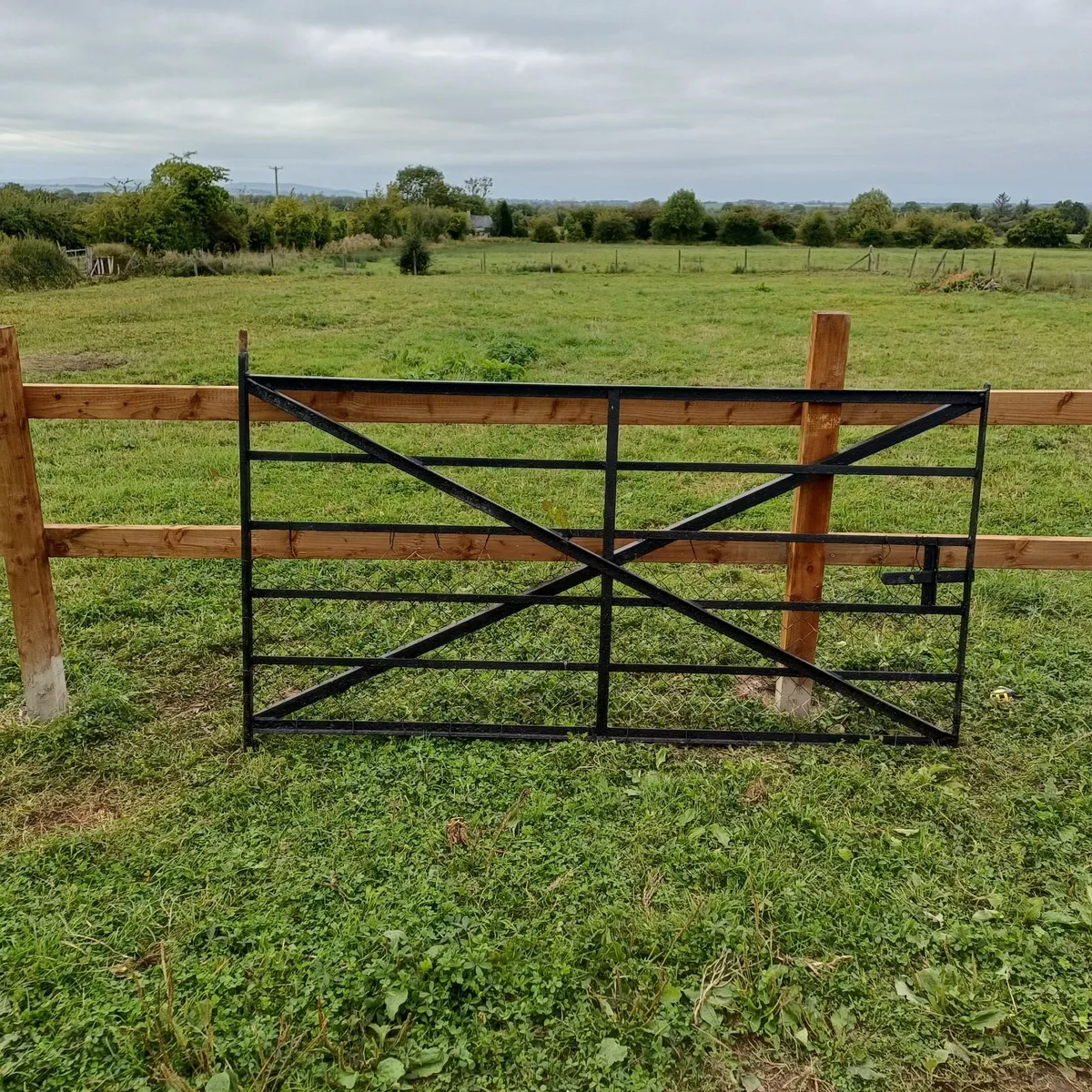 Cast Iron gate 7 Feet x 4 Feet - Image 2