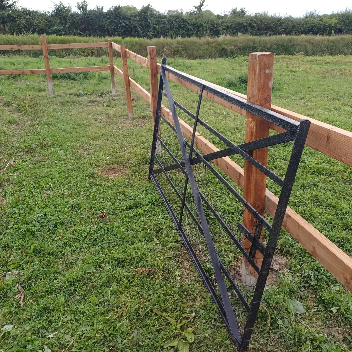 Cast Iron gate 7 Feet x 4 Feet - Image 3