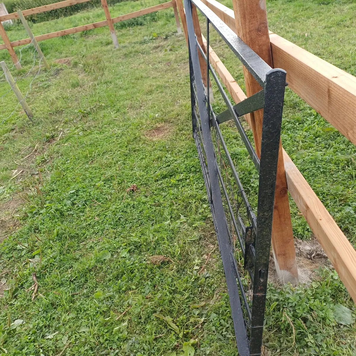 Cast Iron gate 7 Feet x 4 Feet - Image 4