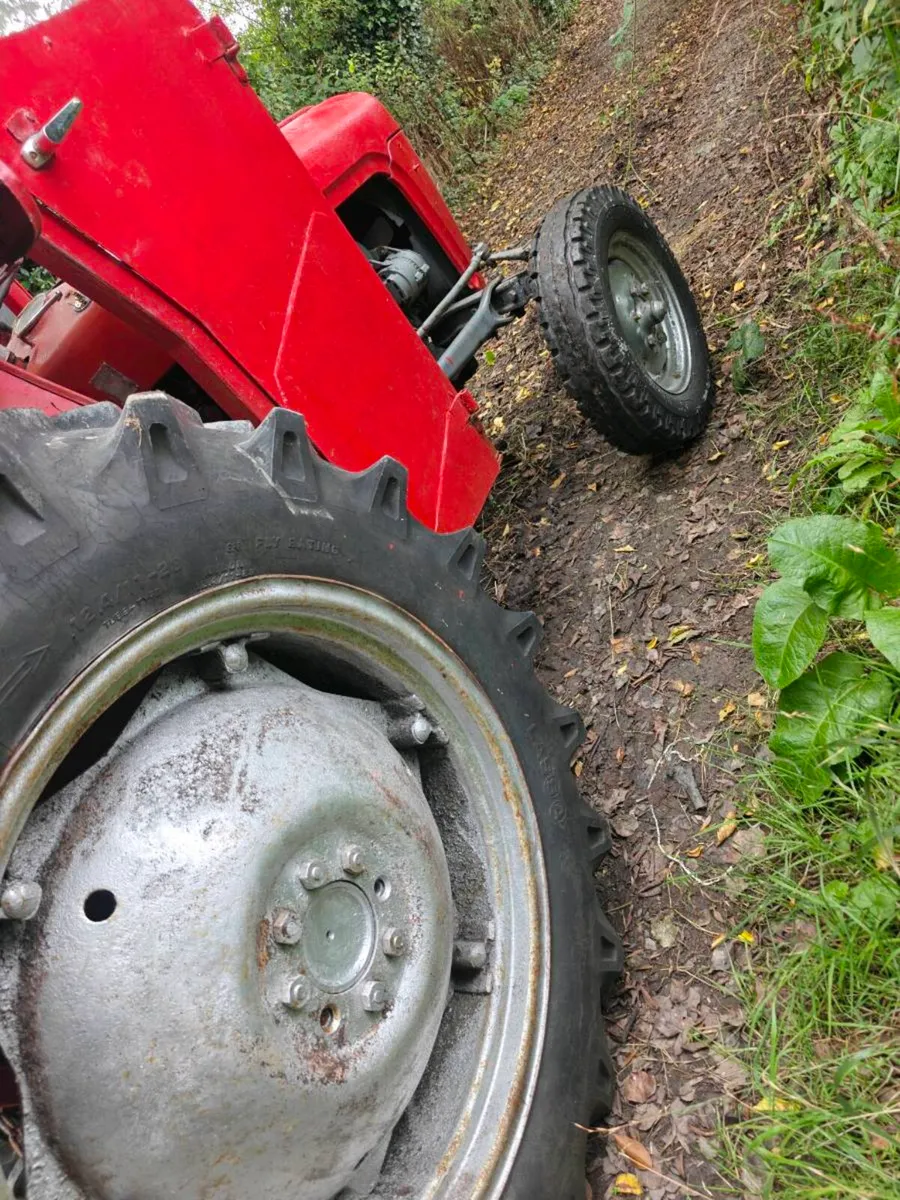 Massey Ferguson 35 live drive - Image 2