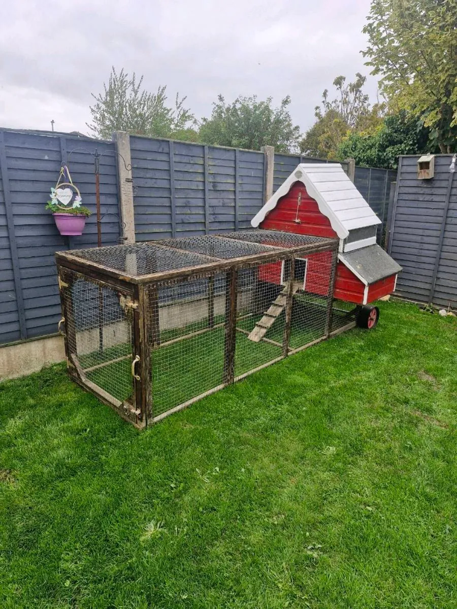 Chicken House/Hen house Irish made - Image 1
