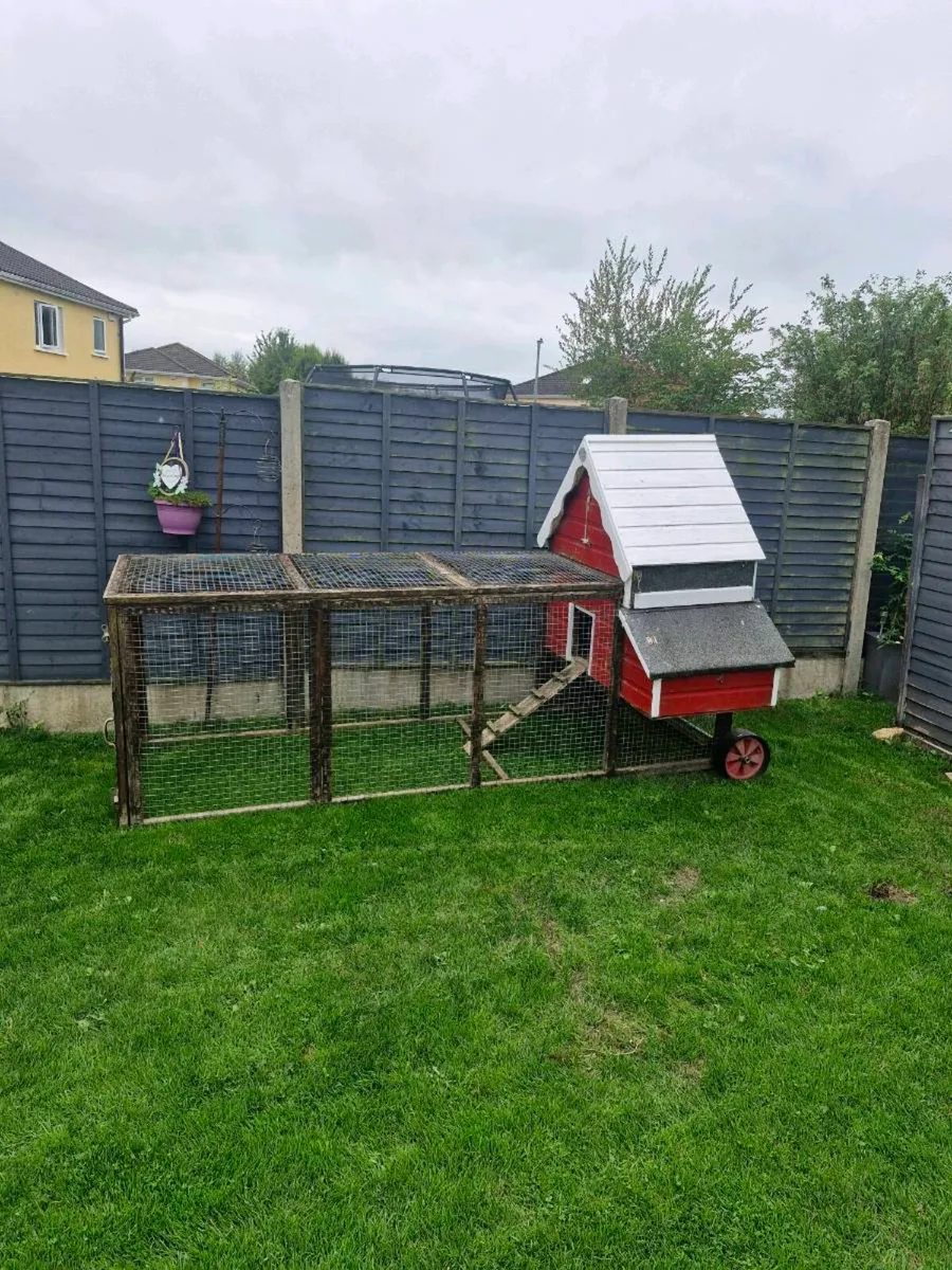 Chicken House/Hen house Irish made - Image 2