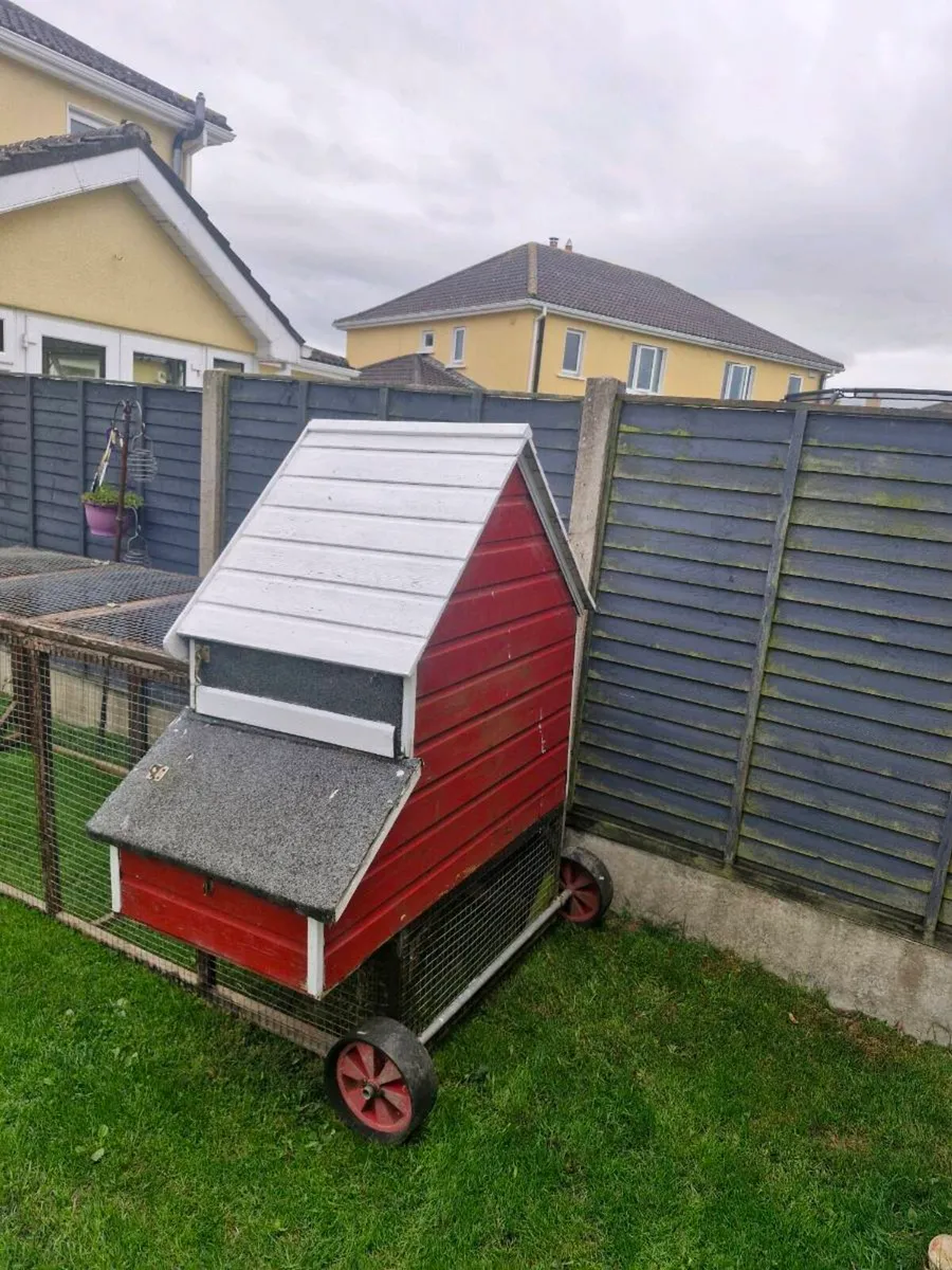 Chicken House/Hen house Irish made - Image 3