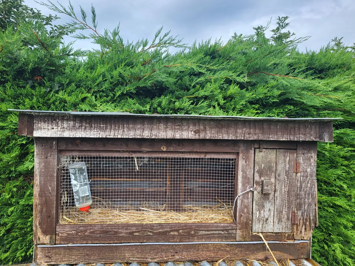 Hutch available - Image 1