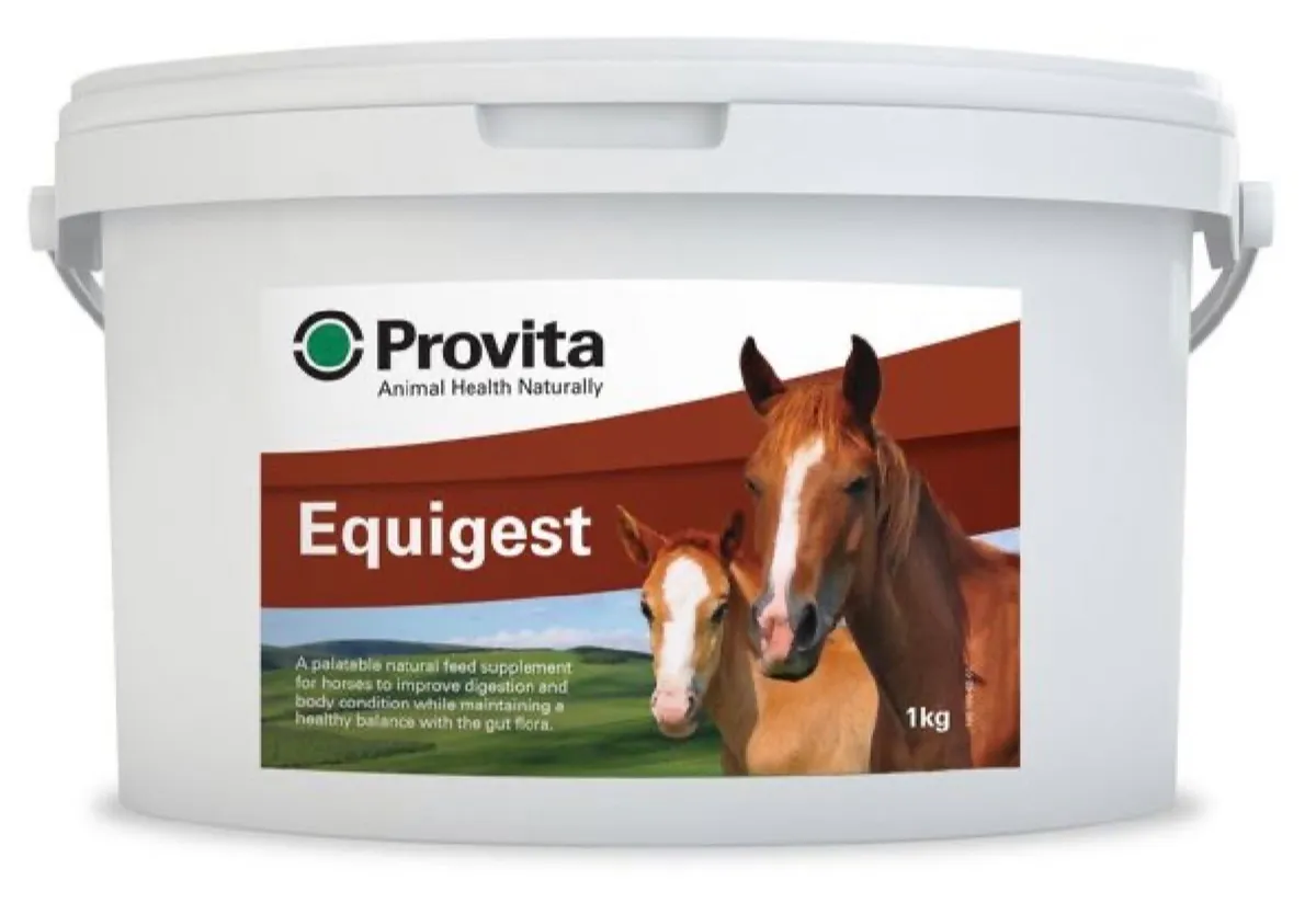 Provita Equigest 1kg