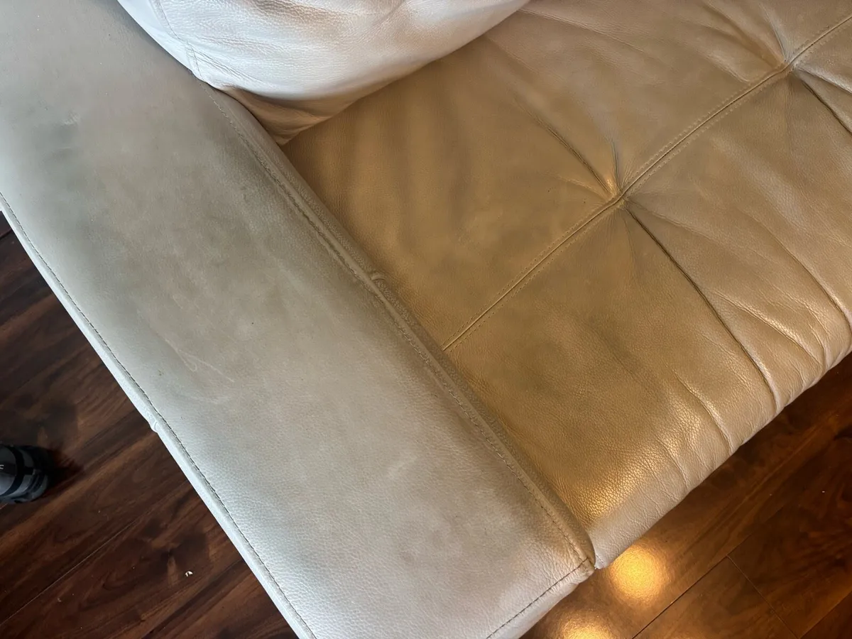 FAMA couches - Image 2