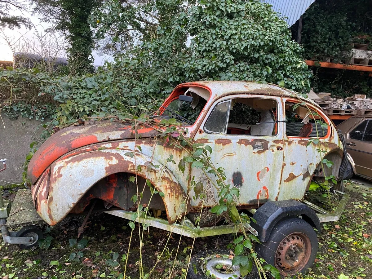 Beetle Shell/Trailer - Image 1