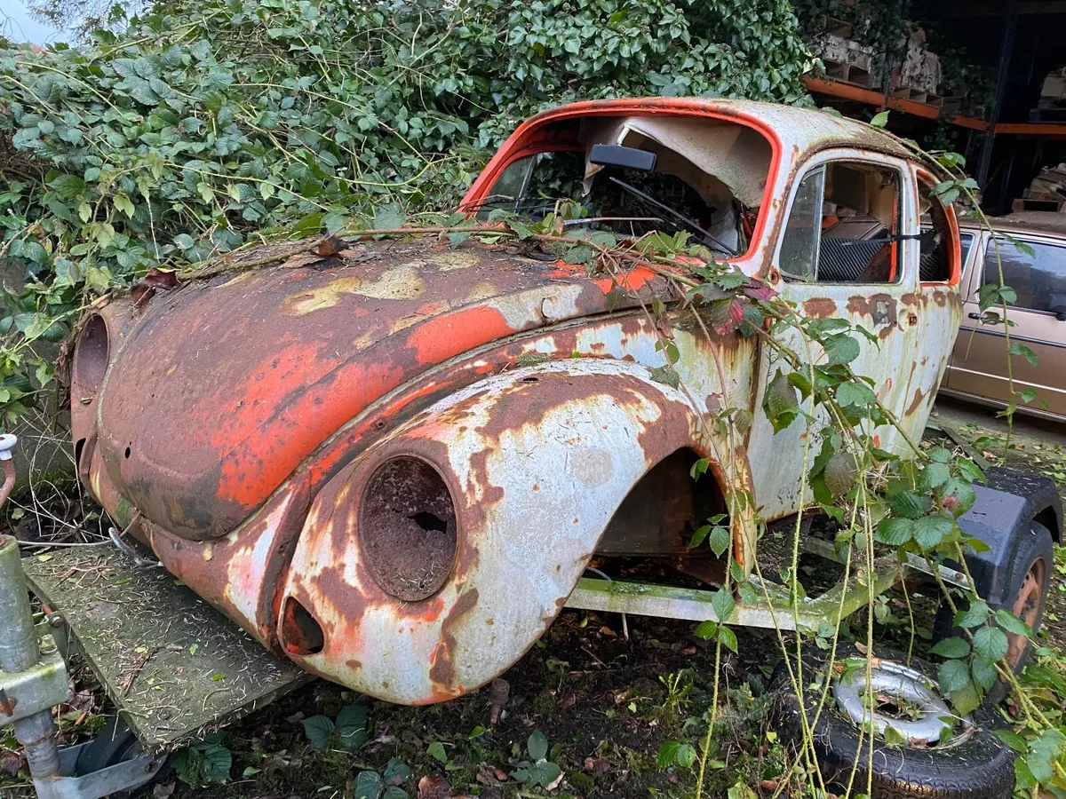 Beetle Shell/Trailer - Image 2