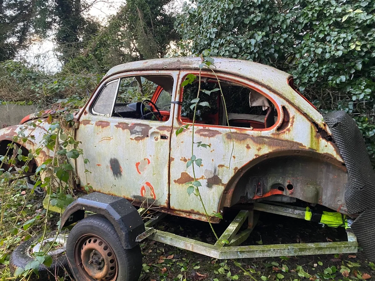 Beetle Shell/Trailer - Image 3