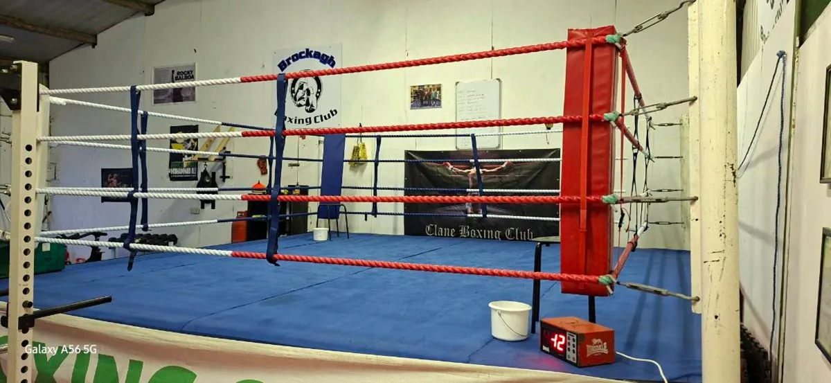 Boxing equipment for sale - Image 4