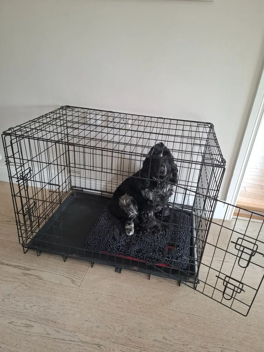 Dog Crate - Medium - Image 1
