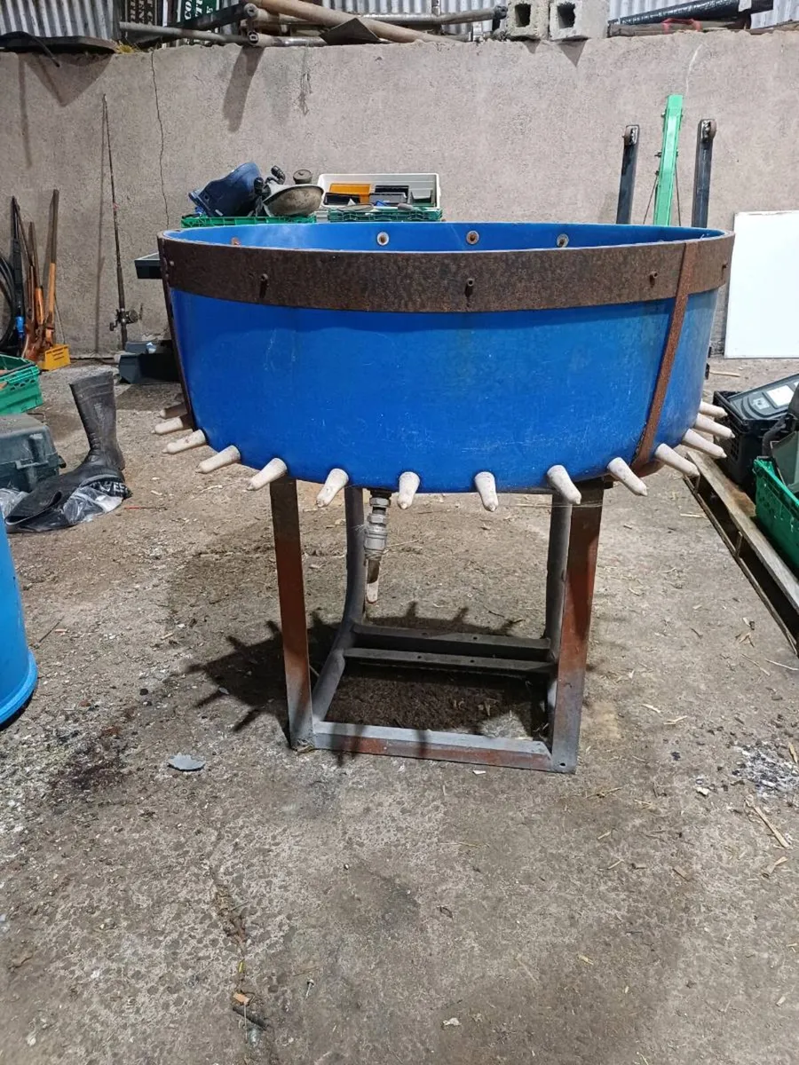 Calf feeder - Image 2