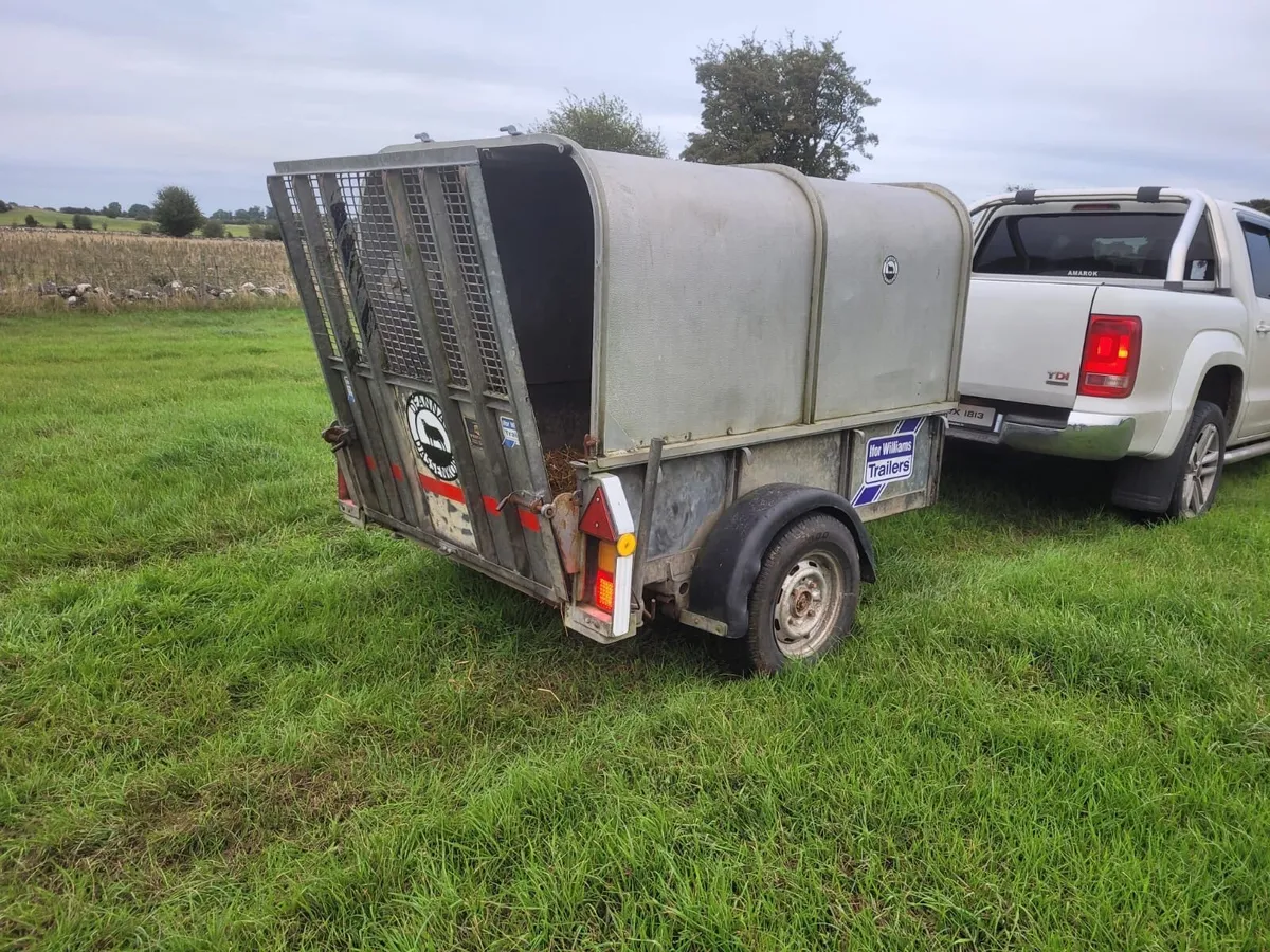 Ifor Williams - Image 4