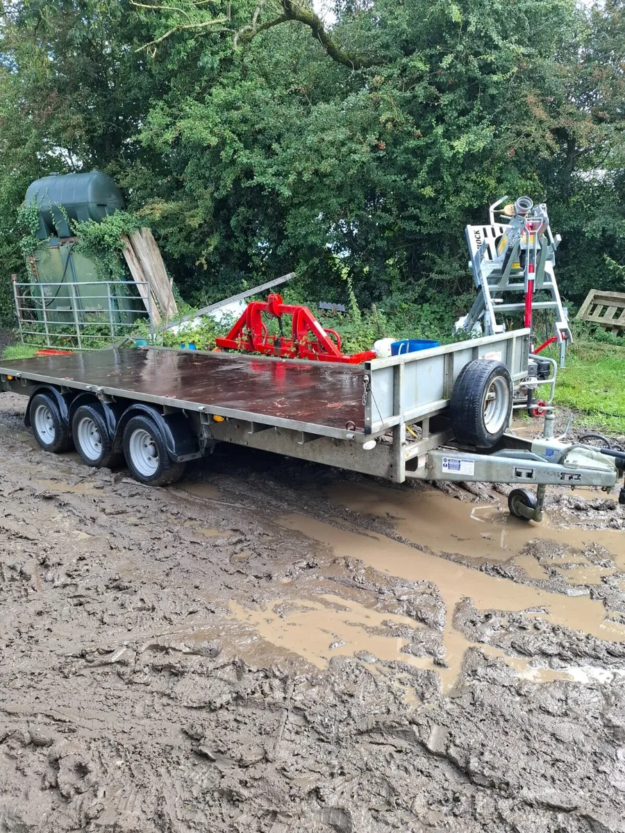Ifor Williams 16'x6'6" Tri Axle - Image 2