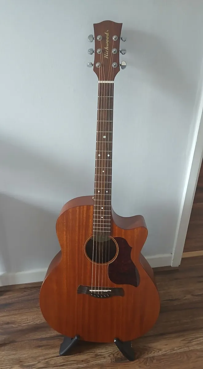 Richwood master series G50CE Acoustic Guitar - Image 2