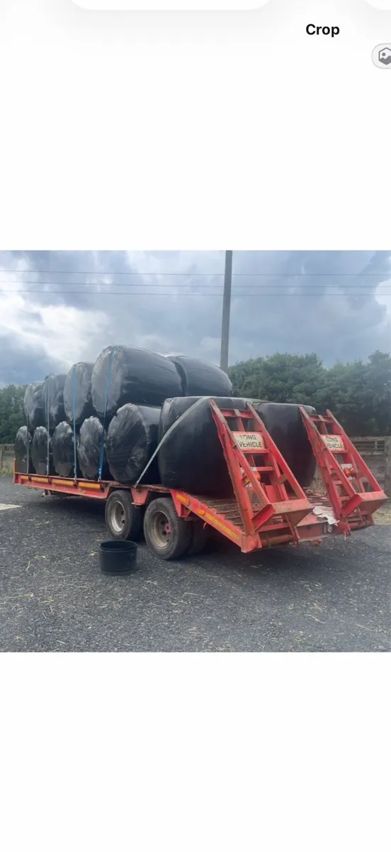 Heavy-Duty Tandem-Axle Low Loader / Bale Trailer - Image 4