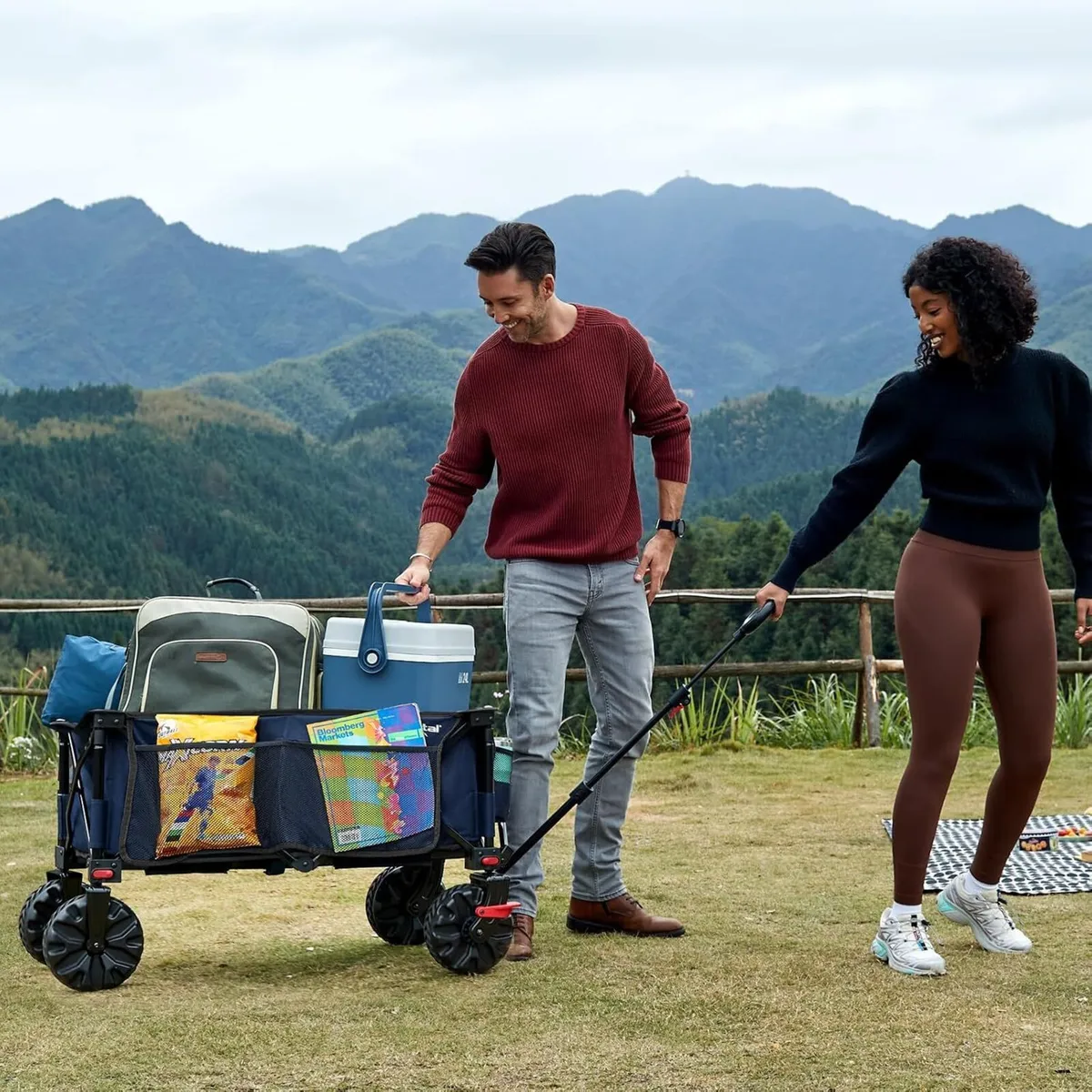 Beach Trolley on Wheels for Sand 200L - Image 2