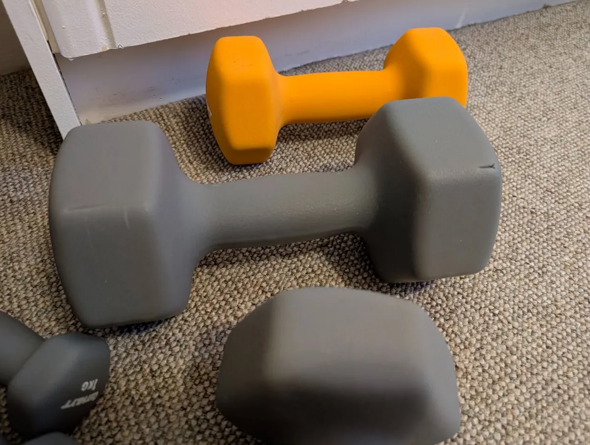 Dumbell wheights - Image 2