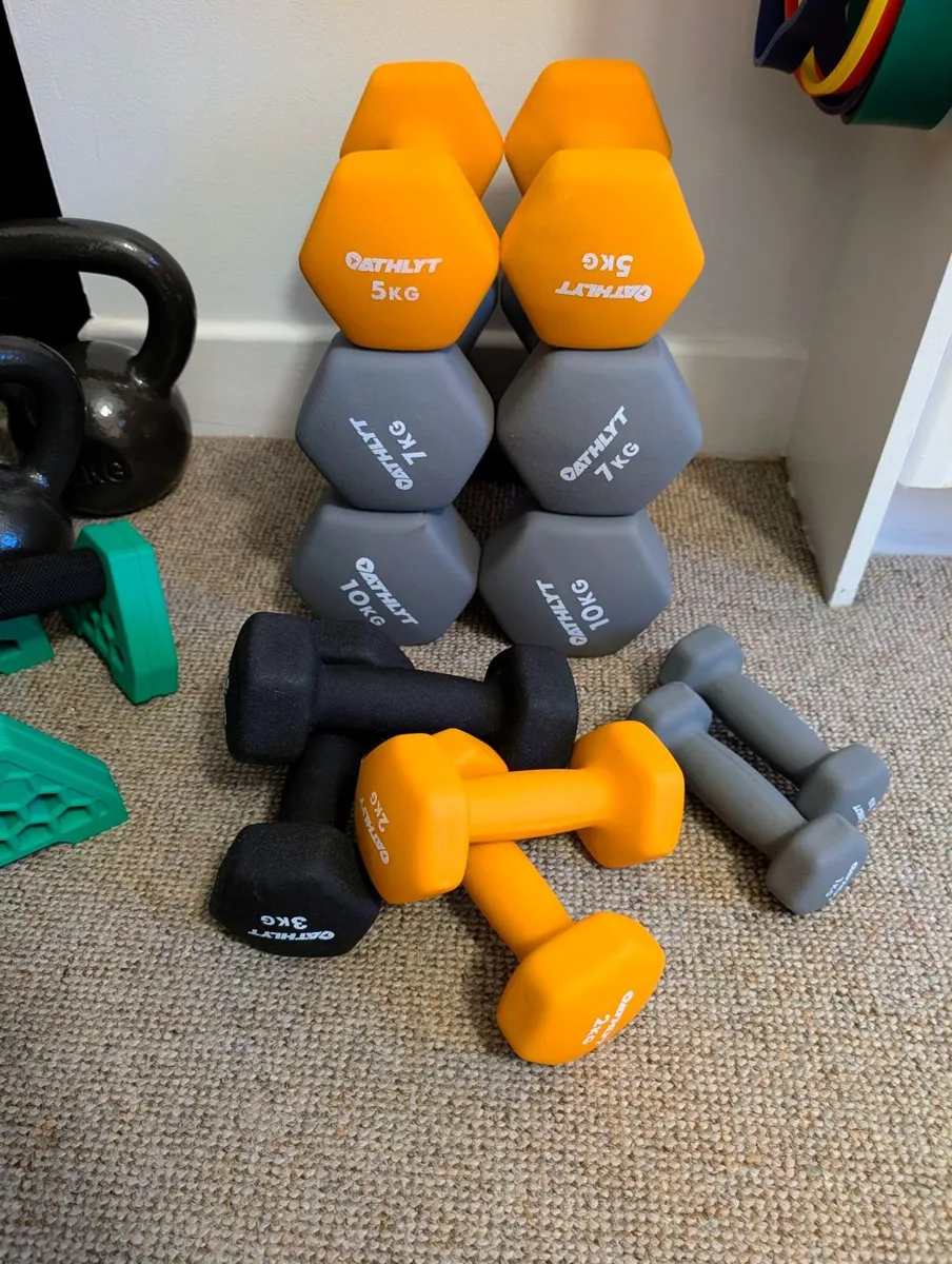 Dumbell wheights - Image 1