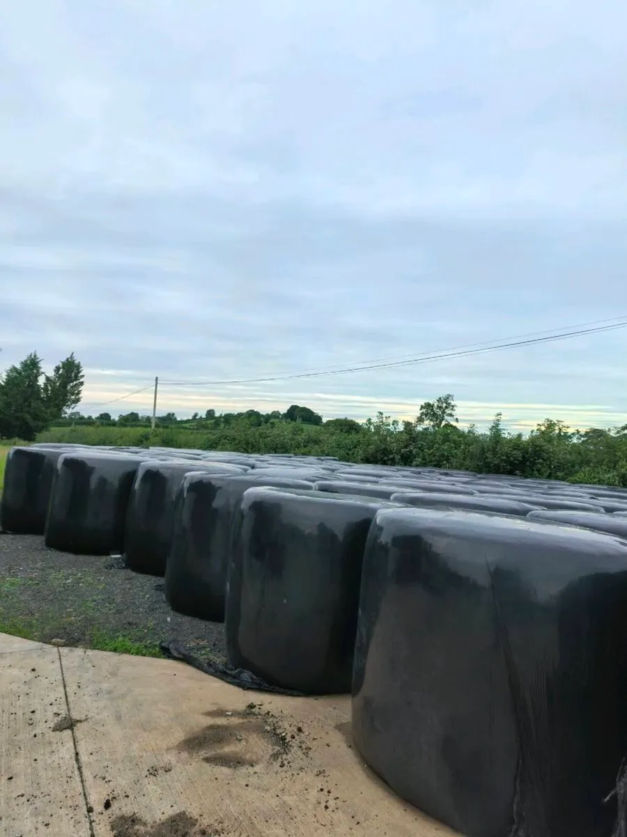 Silage for sale - Image 3