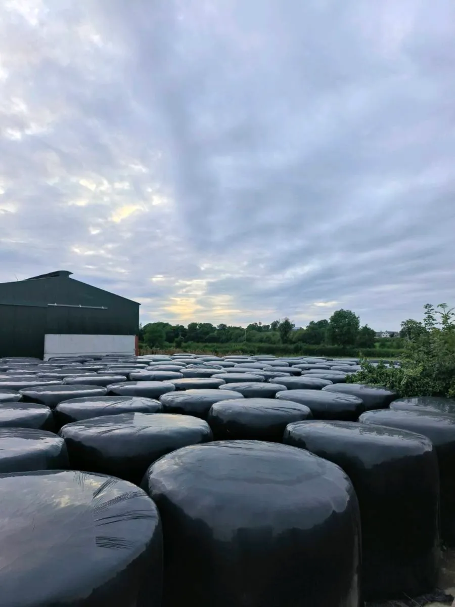 Silage for sale - Image 4