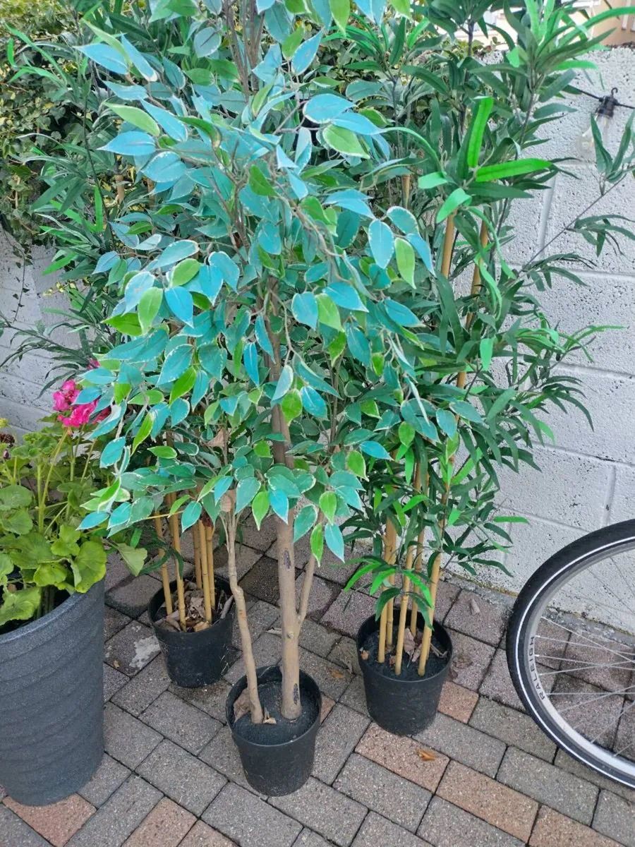 Artificial Plants