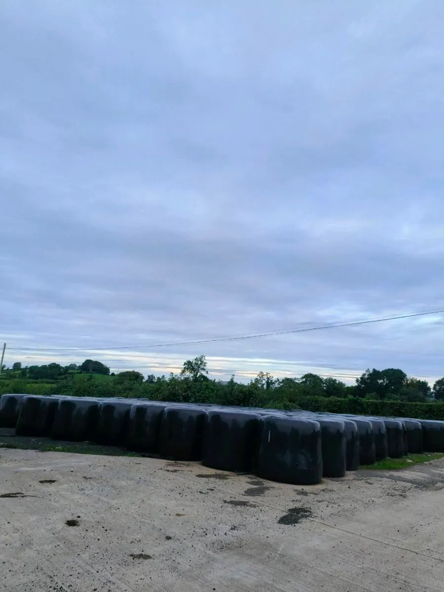 Silage for sale - Image 1