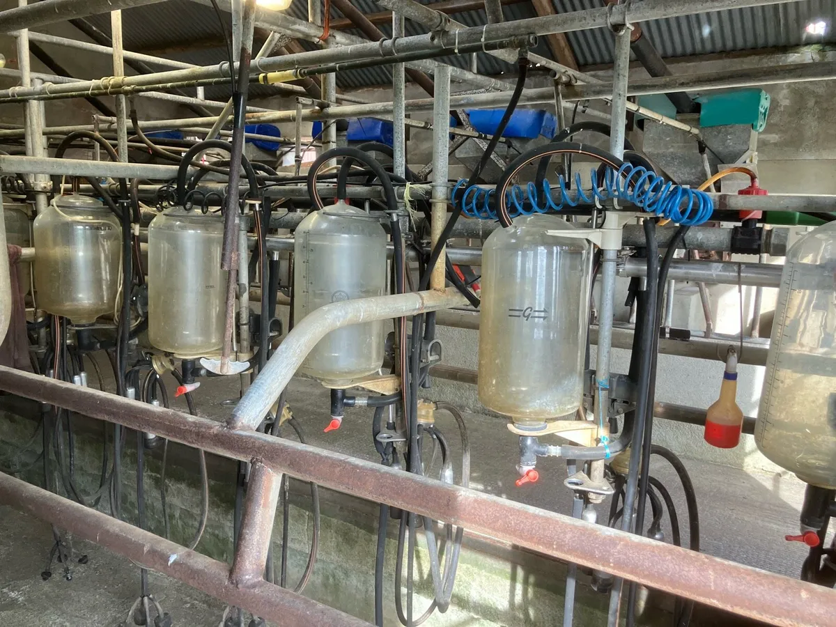 Milking Parlour - Image 2