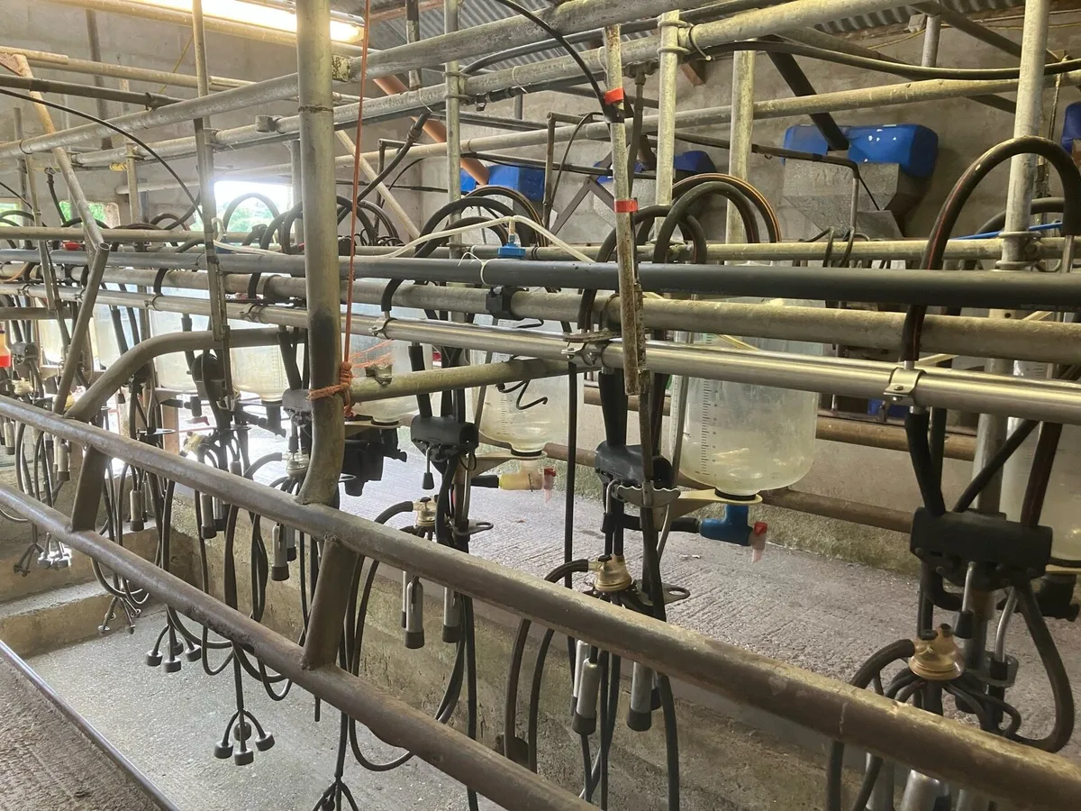 Milking Parlour - Image 4