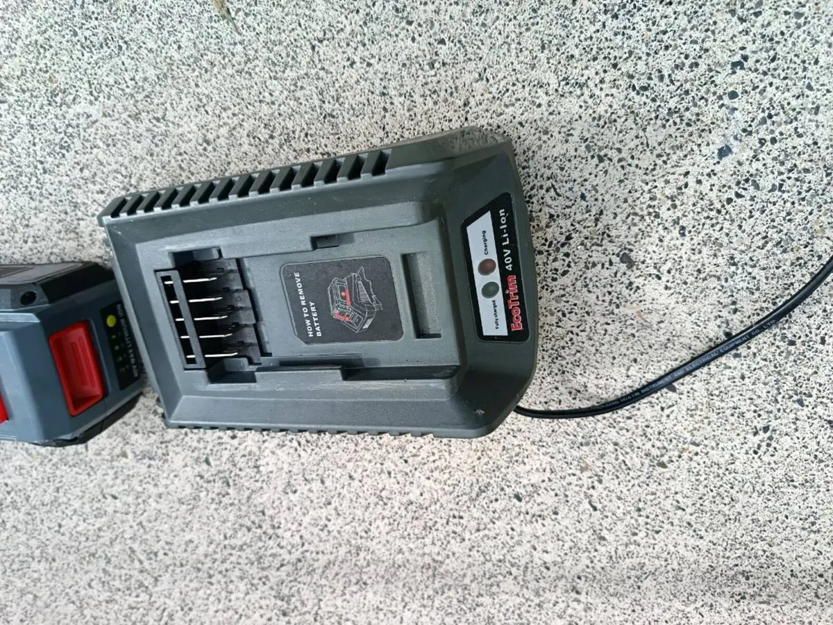 Strimmers - Image 3