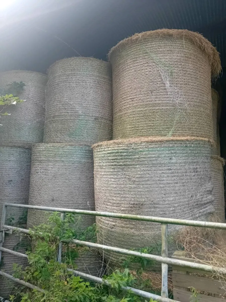 Hay for sale - Image 1