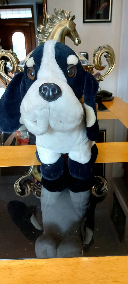 Hush Puppies  Bassett Hound - Image 3