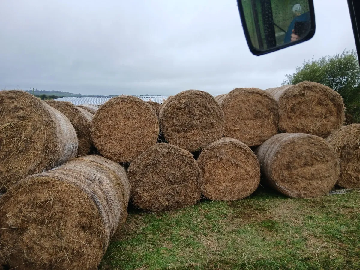 Hay bales - Image 2