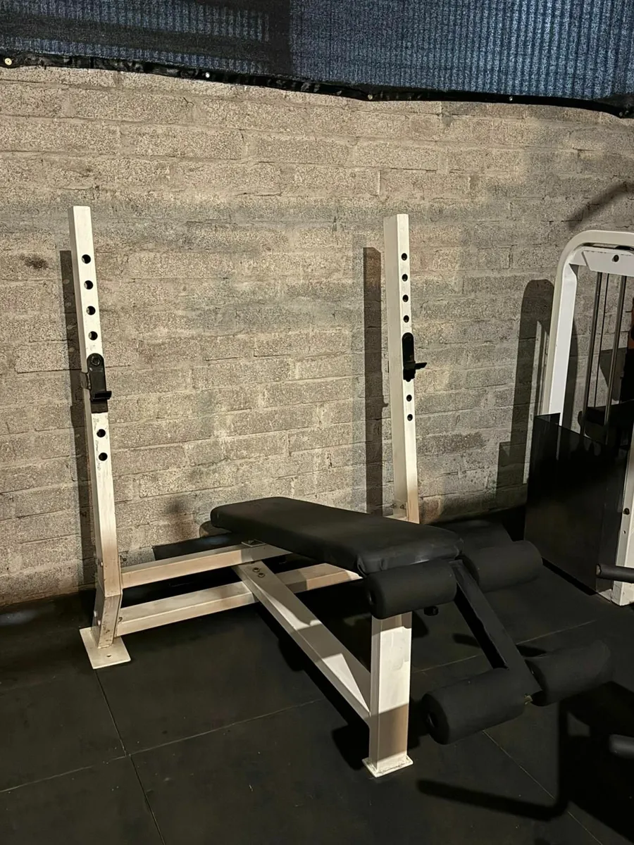 Decline Bench Press (Fixed Bench)  Commercial - Image 2