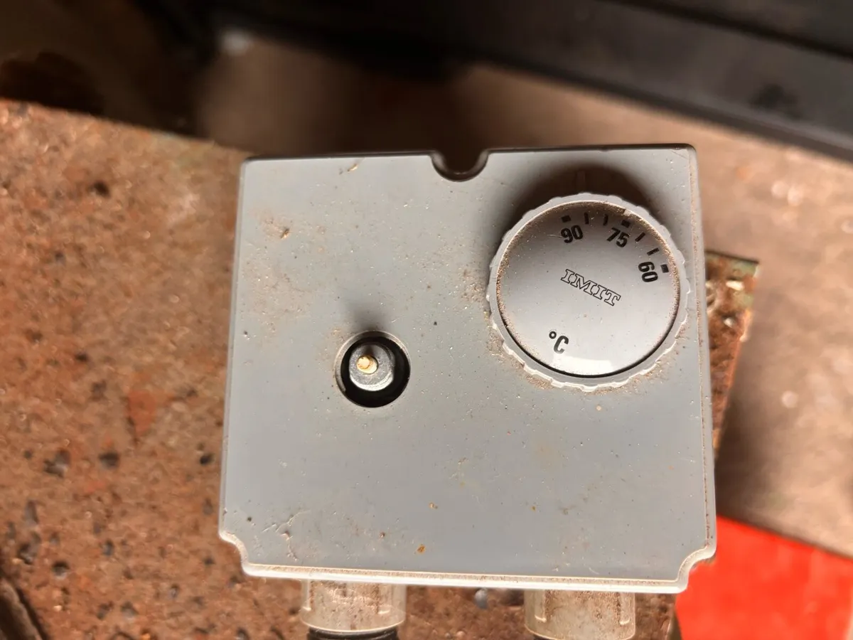 Firebird Popular 120, Thermostat & Expansion tank - Image 3