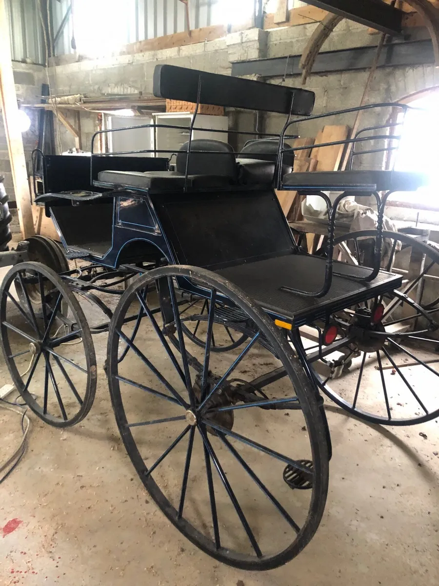 Horse carriage - Image 2