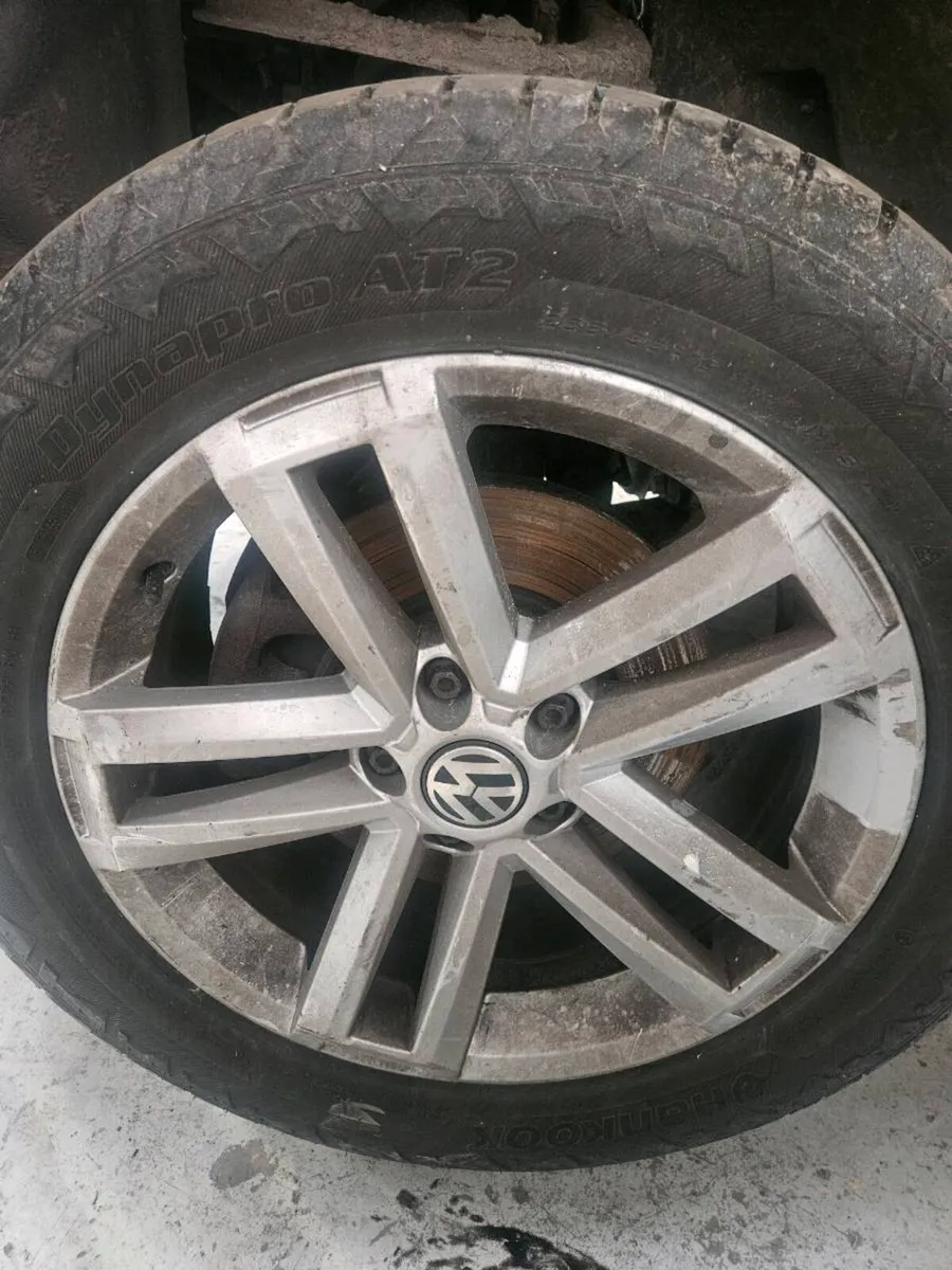 Amarok alloys - Image 2