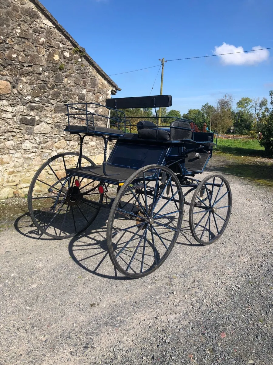 Horse carriage - Image 3