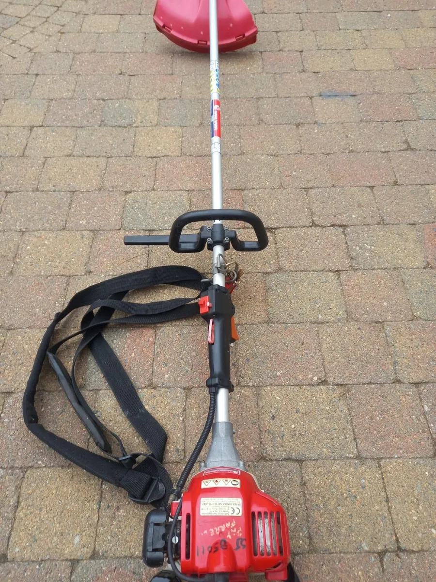 Strimmer - Image 1