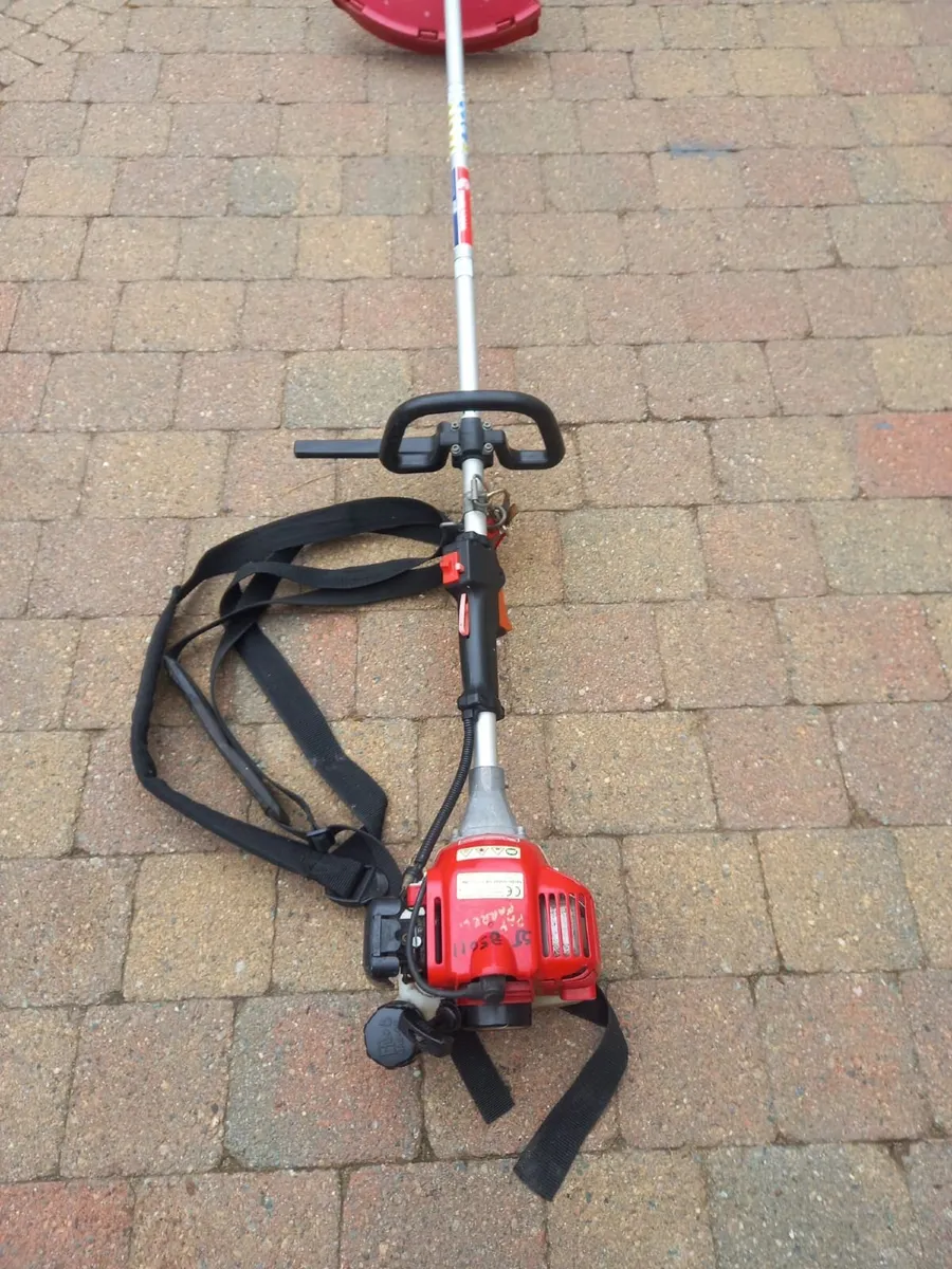 Strimmer - Image 2