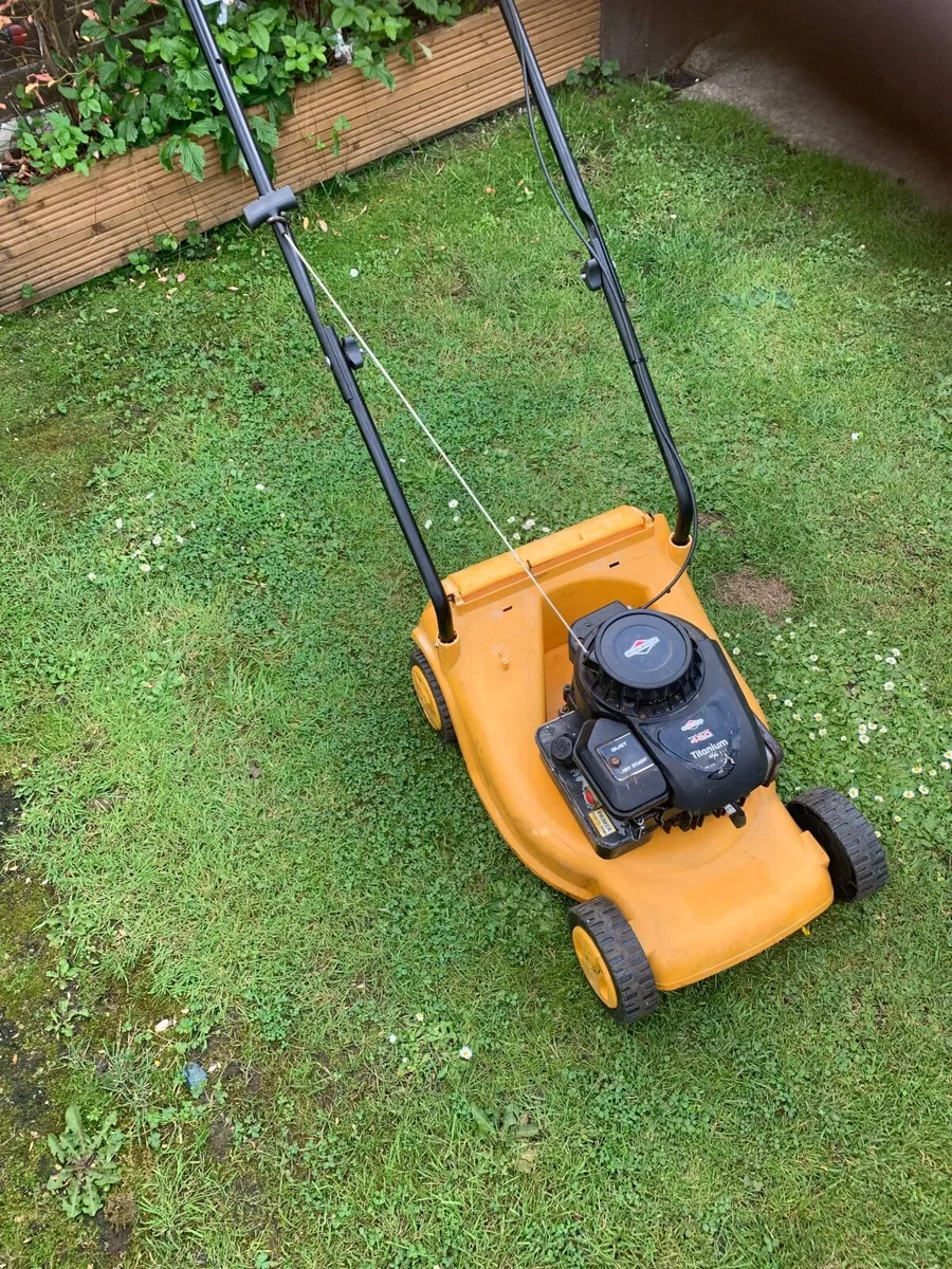 Lawnmower - Image 1
