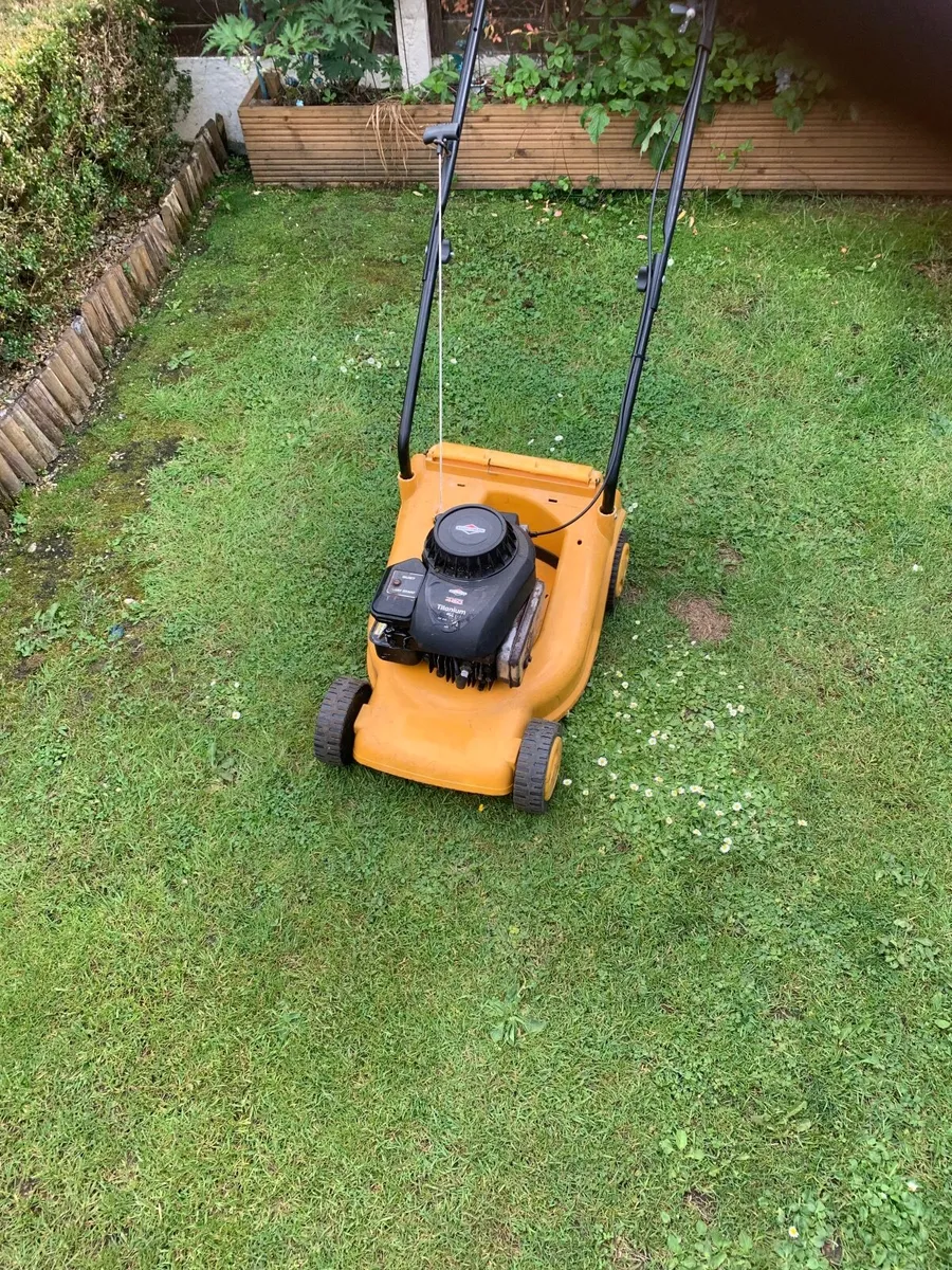 Lawnmower - Image 2