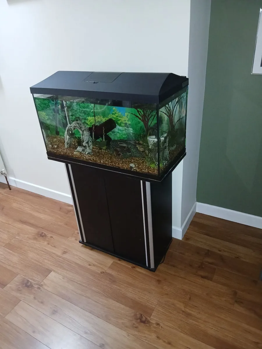 Fish tank - Image 2